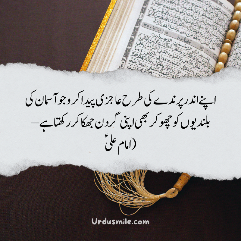 Hazrat Ali 25 Best Quotes