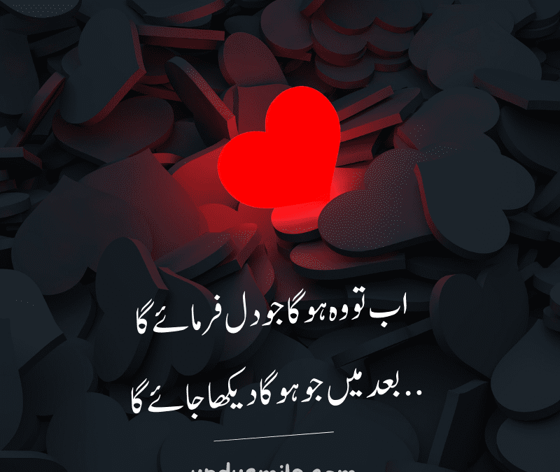 Friendship Quotes in Urdu