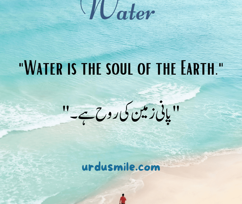 The Vital Significance of Water and Best 20+ Quotes