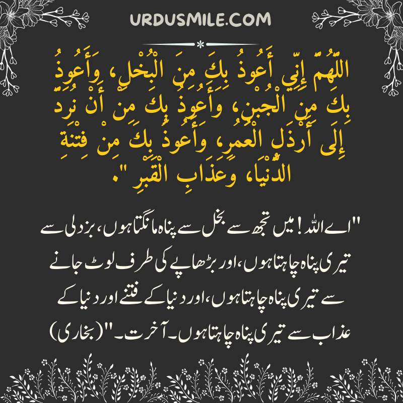 DUAA