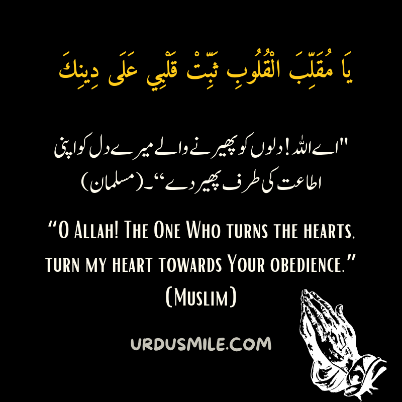 DUAA