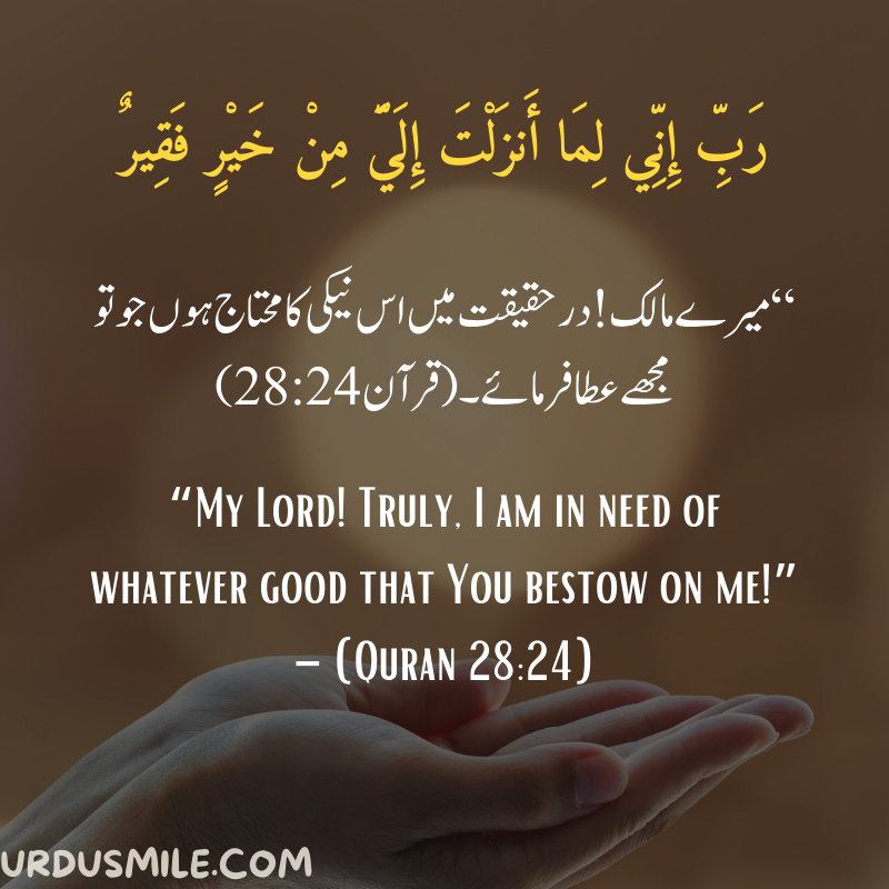 DUAA