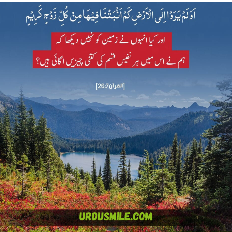 QURAN AYAT TRANSLATION IN URDU