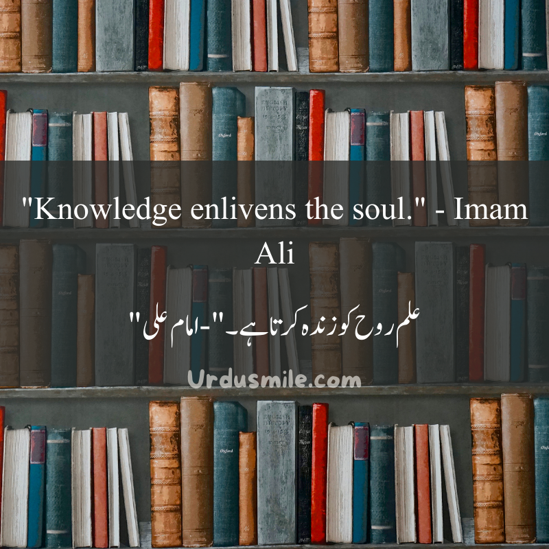 Education in Islam