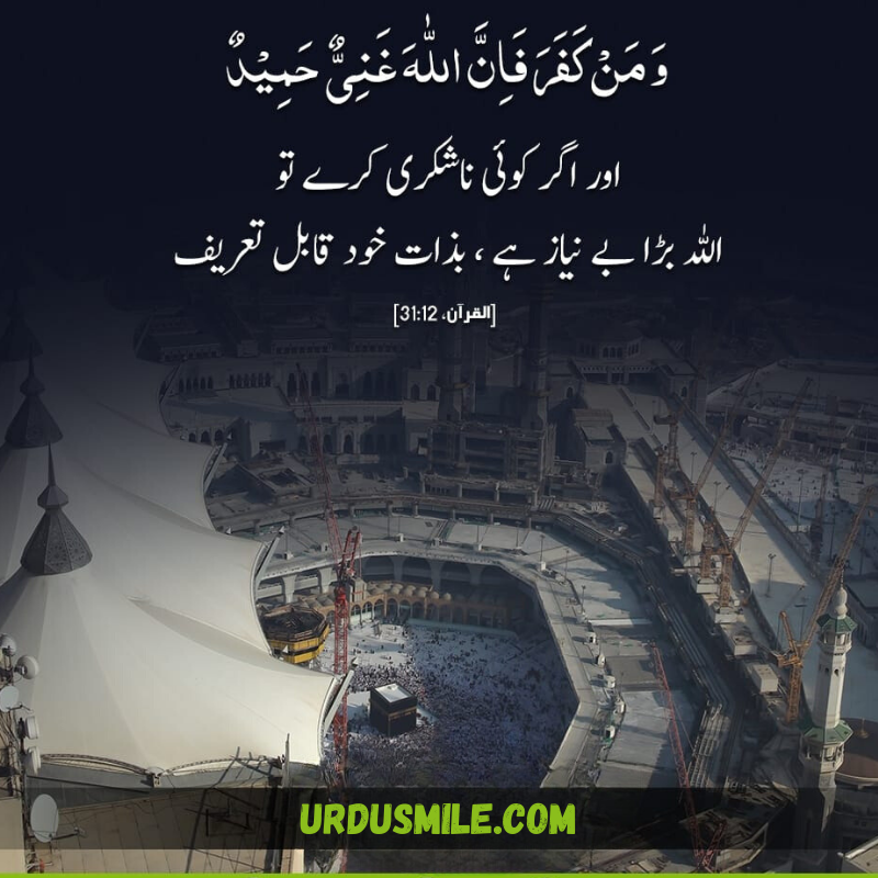 QURAN AYAT TRANSLATION IN URDU