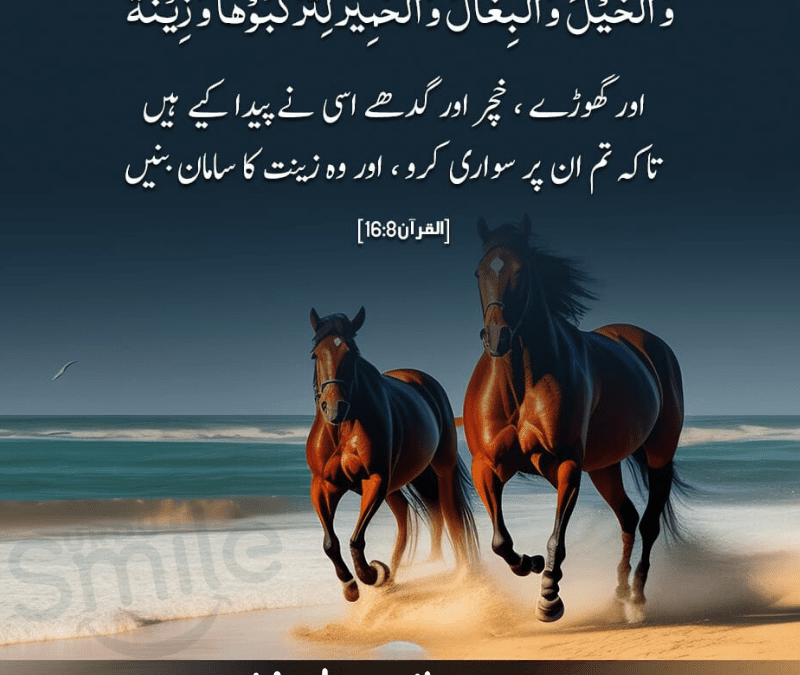 Beautiful Qurani Ayat