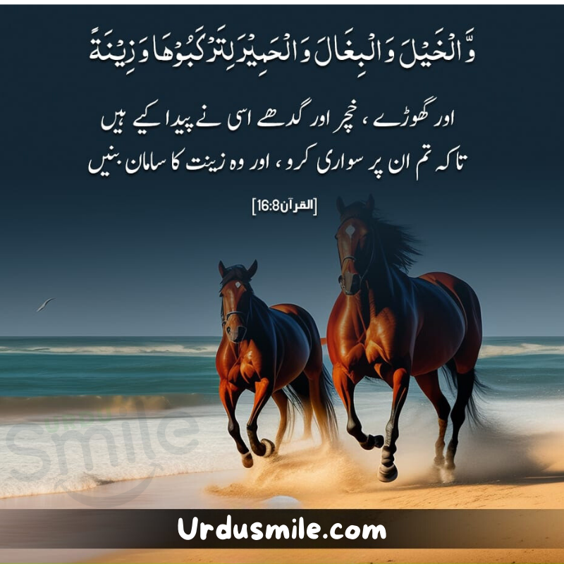 Beautiful Qurani Ayat