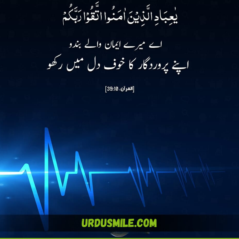 QURAN AYAT TRANSLATION IN URDU