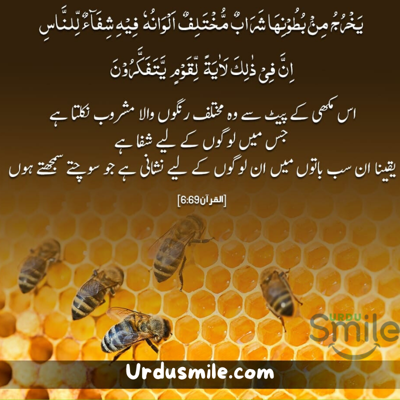 Beautiful Qurani Ayat