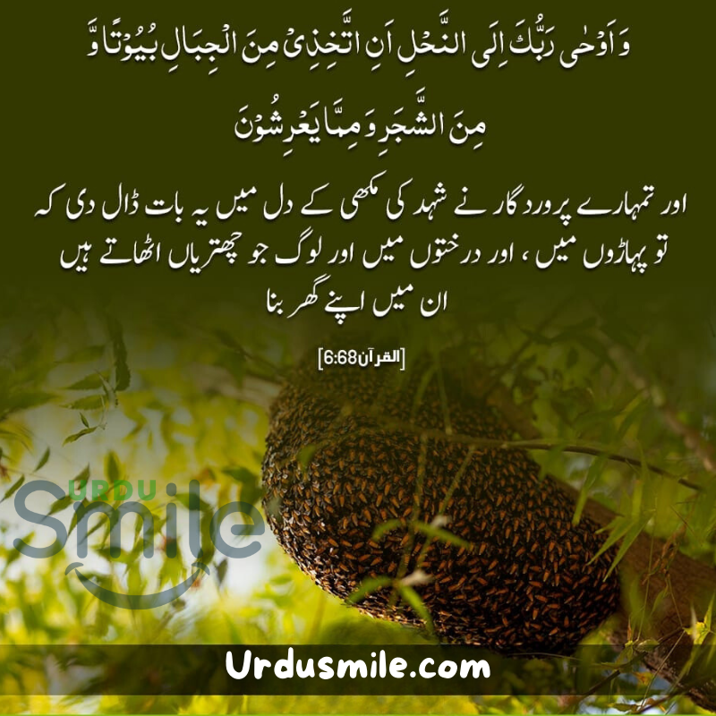 Beautiful Qurani Ayat