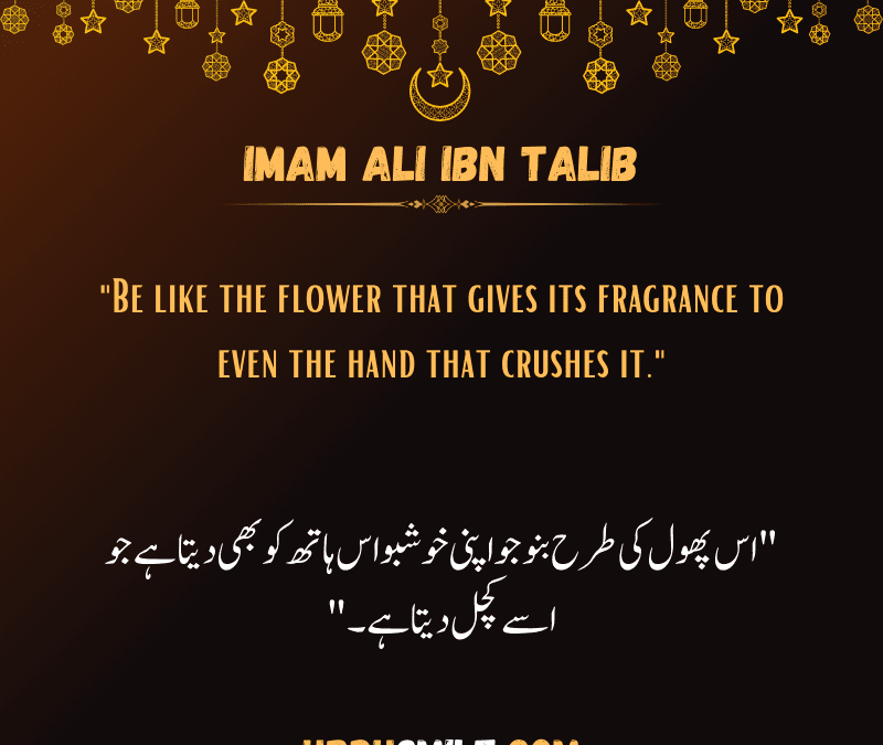 Imam Ali ibn Talib and Best Quotes